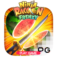 Ninja Raccoon Frenzy