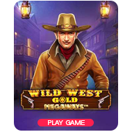 Wild West Gold
