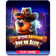 The Dog House - Dog or Alive