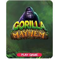 Jungle Gorilla