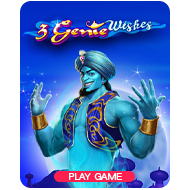 3 Genie Wishes