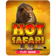 Hot Safari