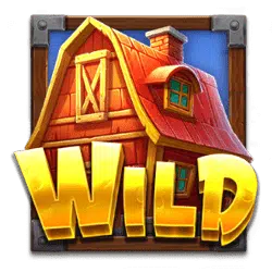 สัญลักษณ์ WILD
