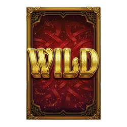 สัญลักษณ์ Wild