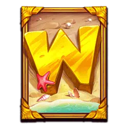 Wild Symbol